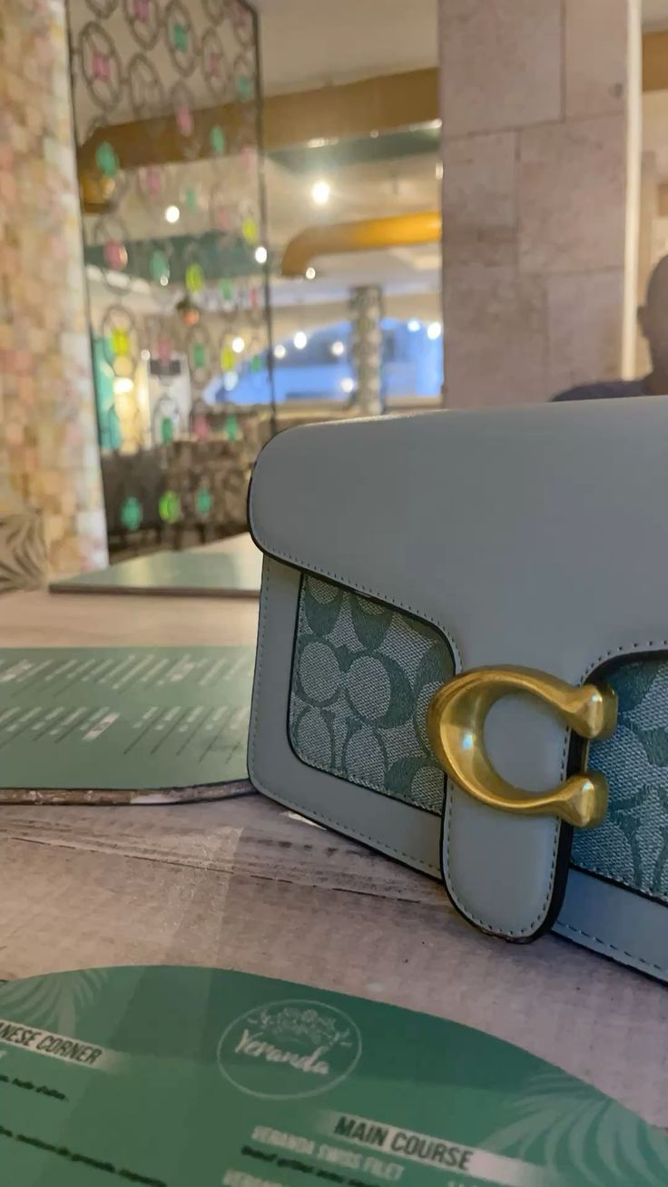 Coach Tabby Bag Blue