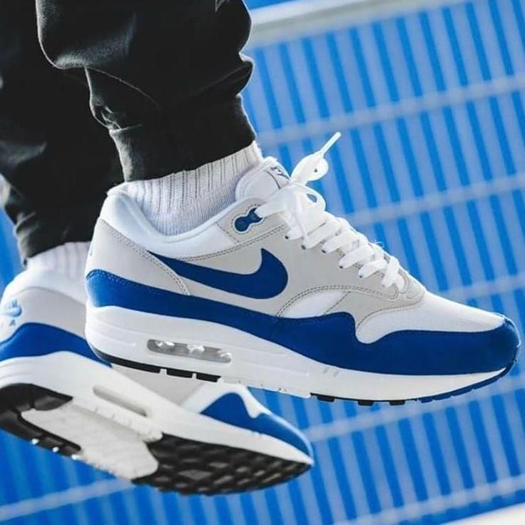 Nike Air Max 1 SE